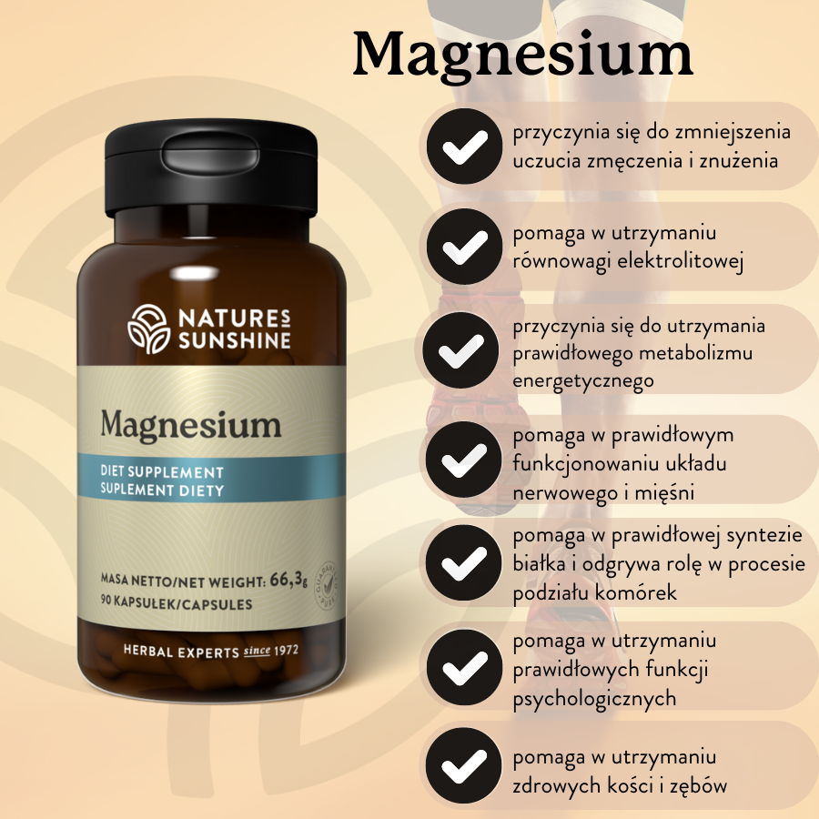 Magnesium (90 kaps.) - Image 2