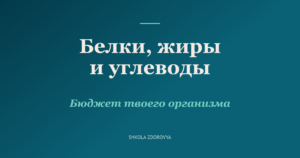 Бюджет твоего организма: белки, жиры и углеводы как функциональные элементы
