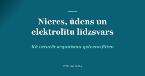 Nieres, ūdens un elektrolītu līdzsvars