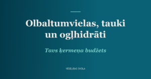 Tavs ķermeņa budžets: olbaltumvielas, tauki un ogļhidrāti kā funkcionālie elementi