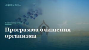 Программа очищения организма