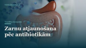 Zarnu atjaunošana pēc antibiotikām