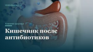 Кишечник после антибиотиков