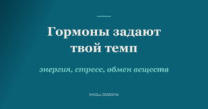 Гормоны задают твой темп: эндокринная регуляция, энергия и обмен веществ
