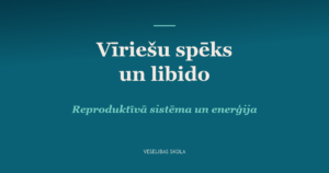 Vīriešu spēks: reproduktīvā sistēma un libido